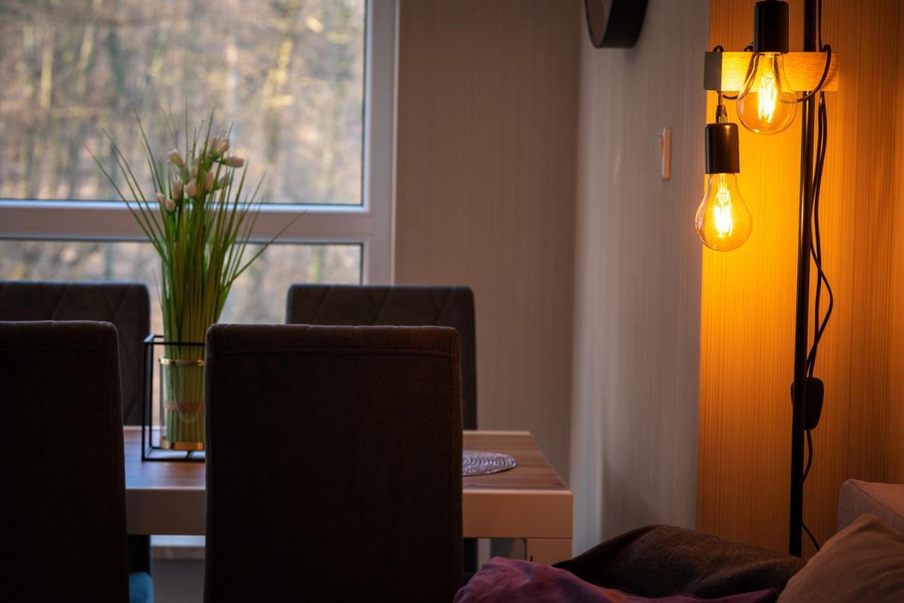 Apartament Kurort Kozubnik Wilcza Wataha Porąbka 外观 照片