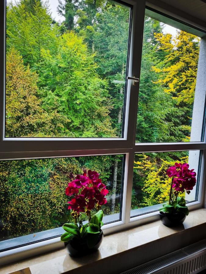 Apartament Kurort Kozubnik Wilcza Wataha Porąbka 外观 照片